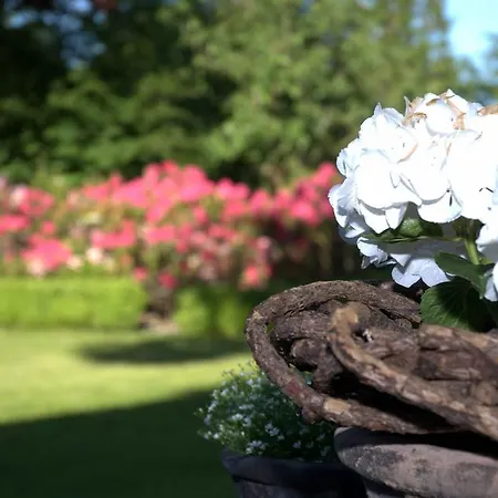 Allegra * Süderlügum