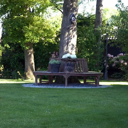 Allegra Süderlügum